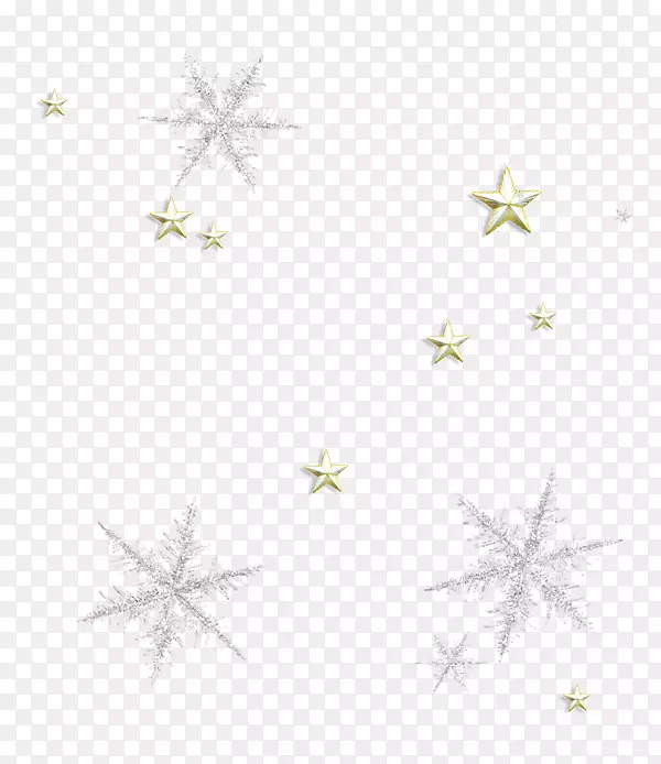 ����ѩ���ڻ�����-����-������