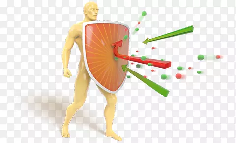 �������������ϵͳ����ʳ�������������������-����-������