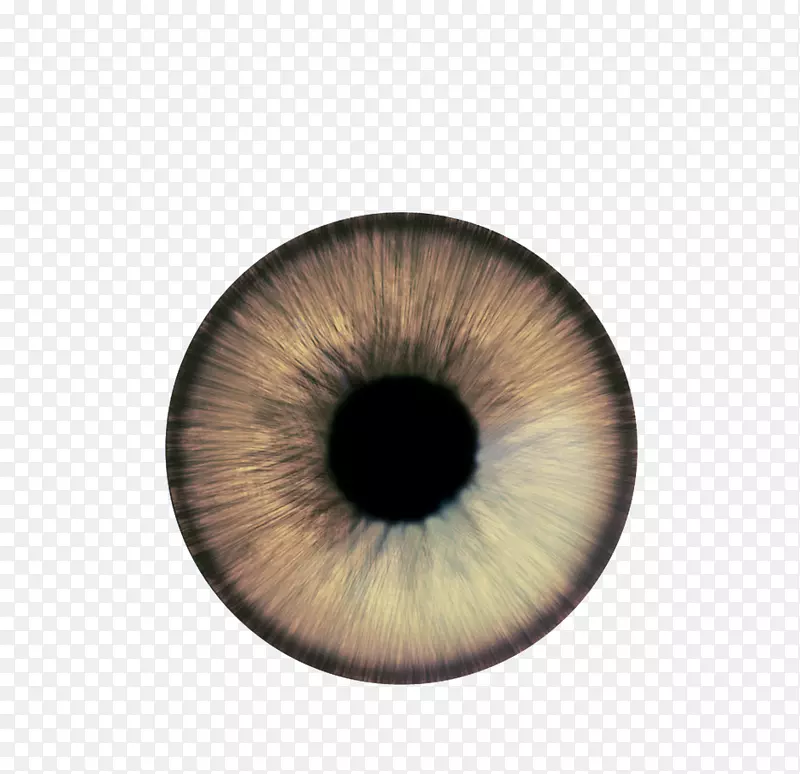 ��Ĥ��Ӱmp3-������