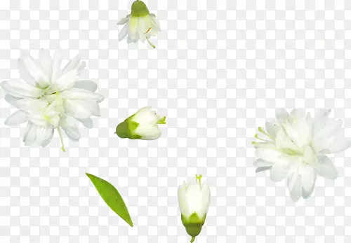 �л������꣬���٣�õ�廨-������