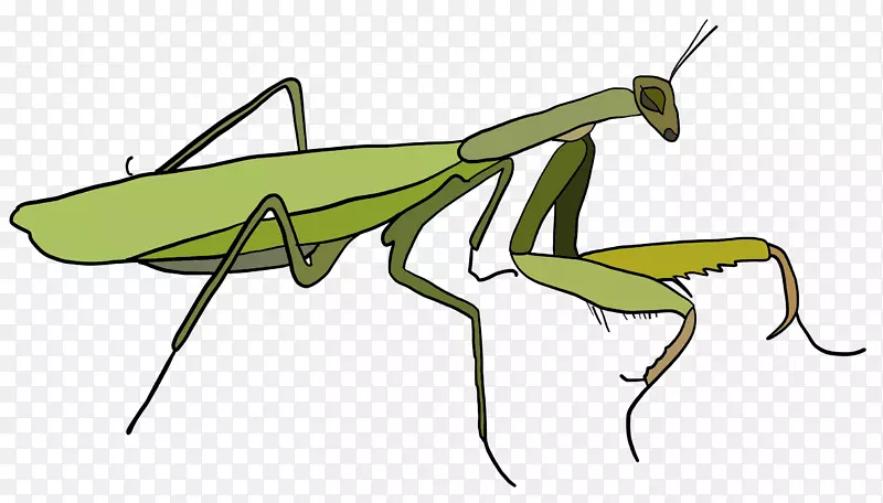 ������������������-����-������