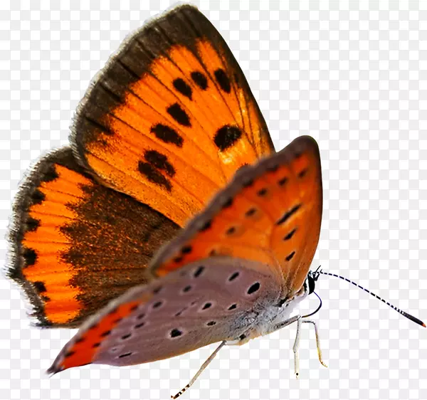 ��������ѹ��.��������ѹ��-������