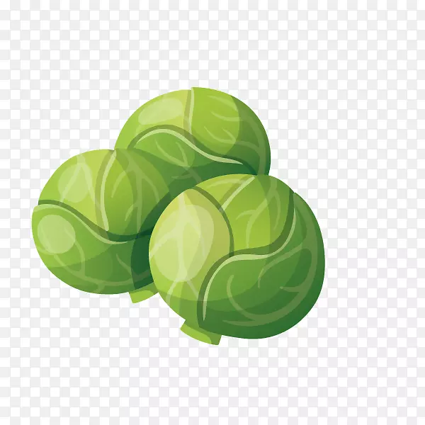 ���������ϵ�߲˾��Ĳ�ˮ��-�߲ˡ����Ĳ�-������