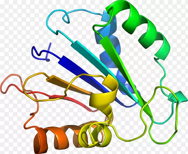 �ߵ�Ь��������-������