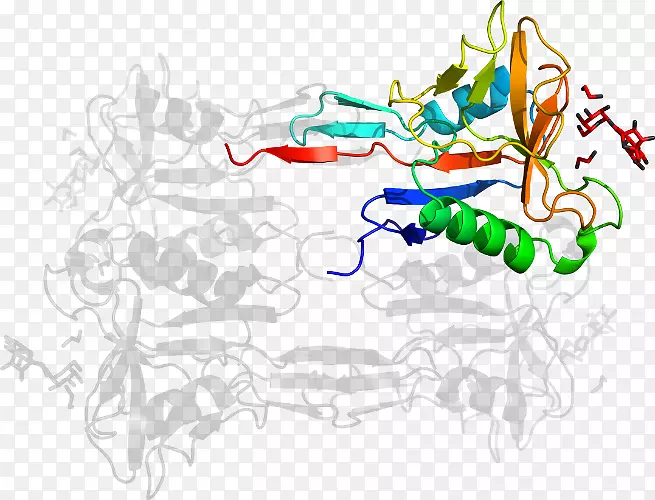 �ߵ�����������-������