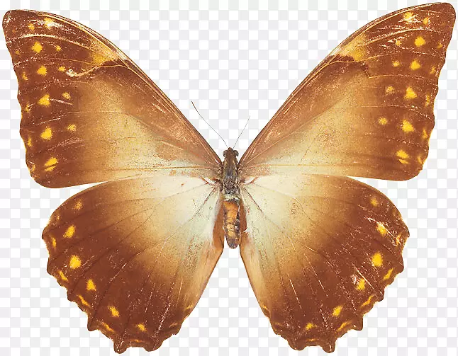 ����������Ĭ-����-������