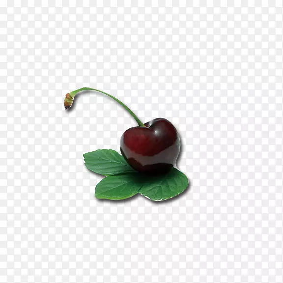 ӣ�ҽ���-������