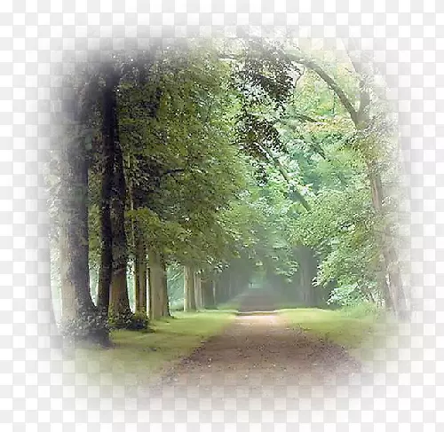 Youtube������Ϣ���ܲ���-������