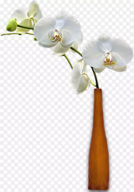 ��ƿ�л�������ƿ-������