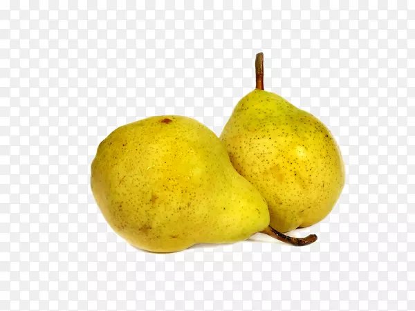 ѩ��-������