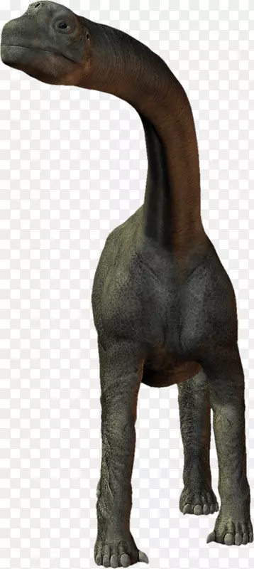 �����-½���������-������