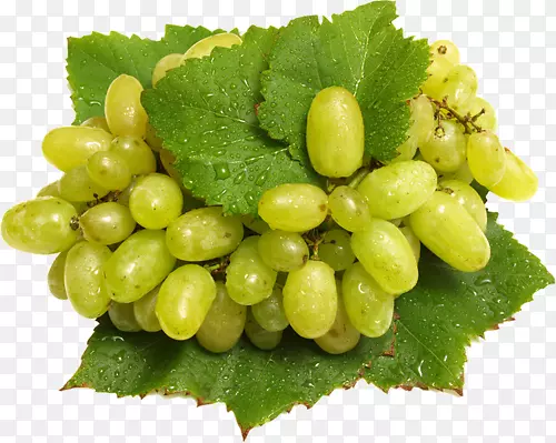 ˮ���߲���ͨ������ʳƷ�߲�-������