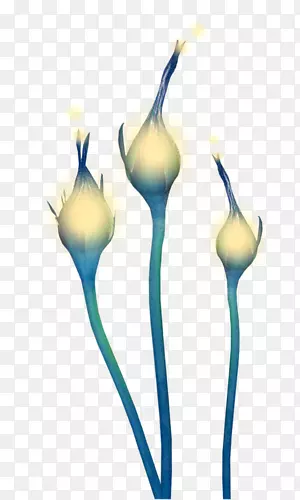 ����ֲ�ﾥ-������