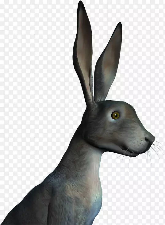 Ұ�ñ���Ұ������-������