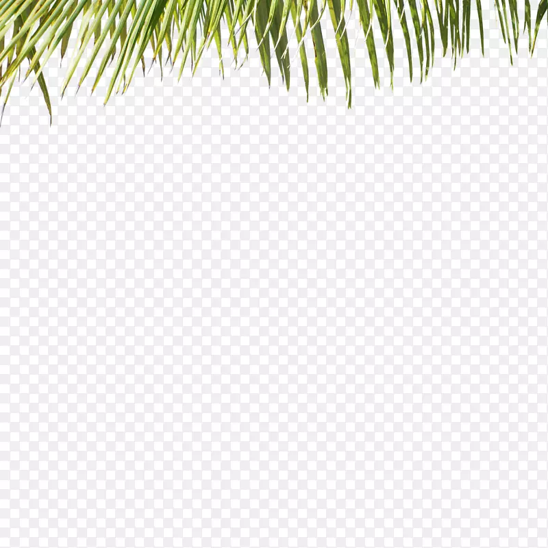 ���̲�-������