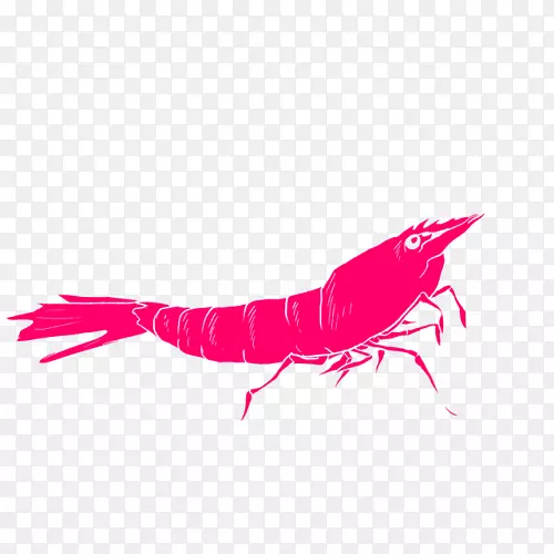 ʮ��������ۺ�ɫm��д��������-������