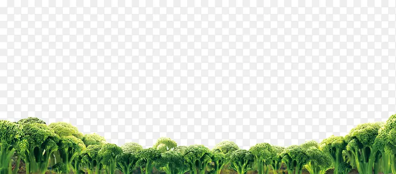 �߲˻�Ҭ��-�߲�������-������