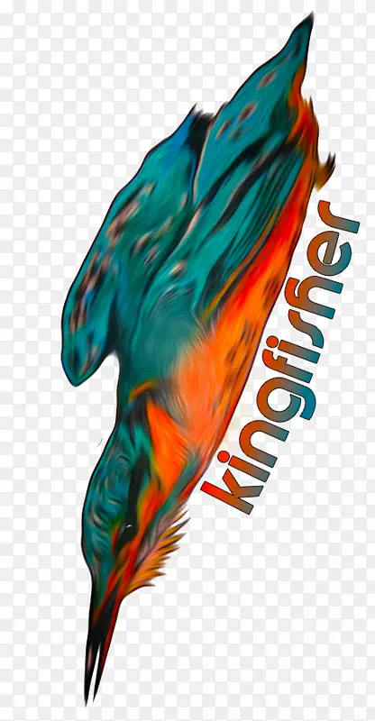 ����ë�-������