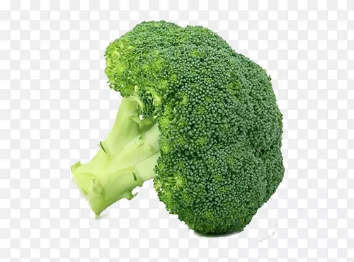 Ҷ�������������߲�-������