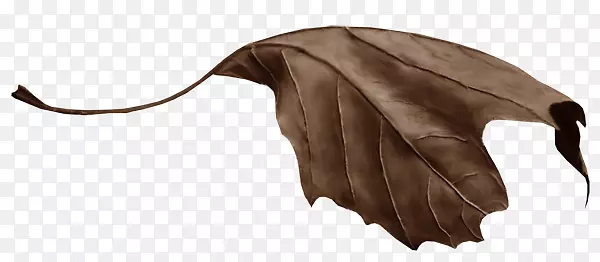 Ҷ��Ҷ����-Ҷ-������