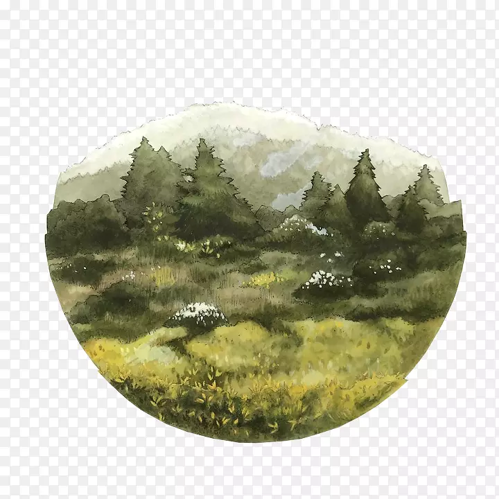 ˮ�ʻ�������ֽ��-������