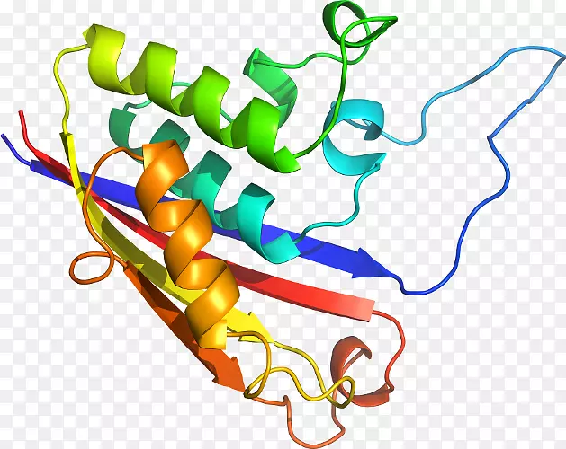 ֱ�ߵ��߲��л����������-������