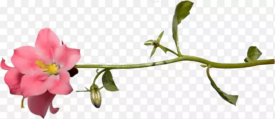 �ɶ����л�ѿֲ�ﾥ��-������