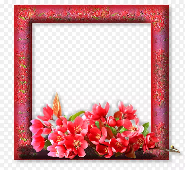 Ů�Բ�������-Ů��-������