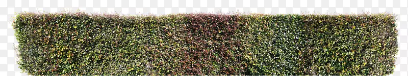 ��Ʒ-������