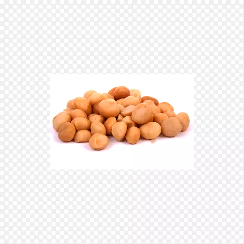 ������ʳ�����������ɫ��-������