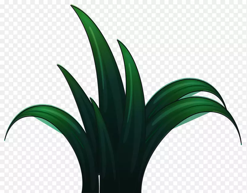 �̲�-������