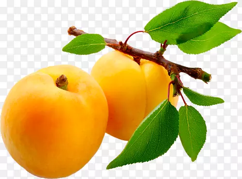 �ӻ��۹�֭-������