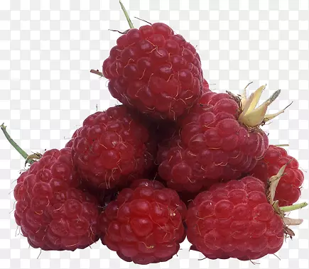 ����ݮ�⾰-������-������