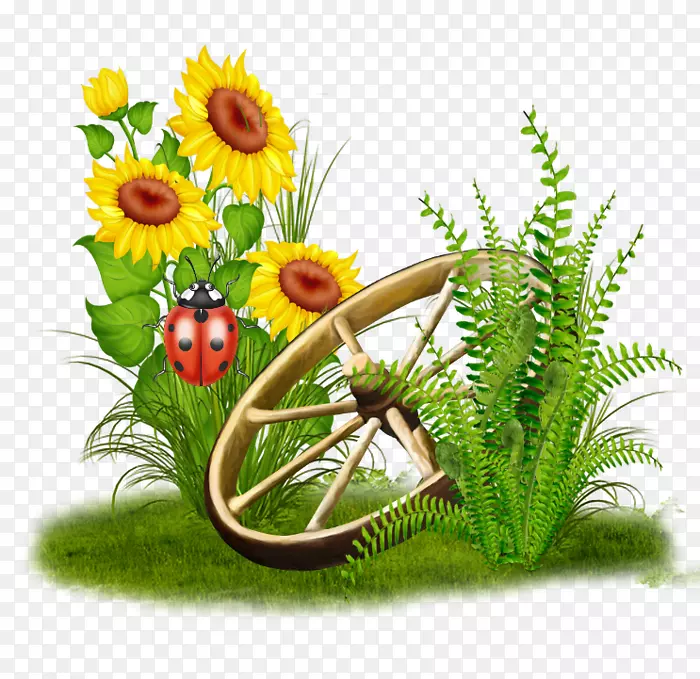 ���������ͨ���տ�������-������