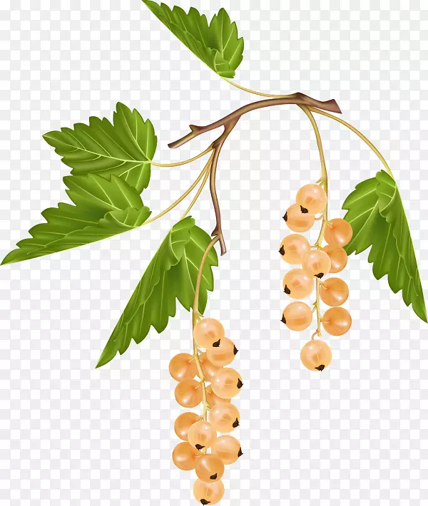 ���ѣ���������ڼ��أ�����-����-������