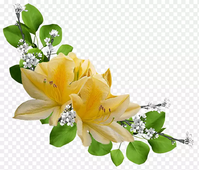 �������ˮ�ʻ�������-������