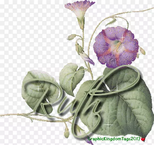 Elen be sha o-��-������