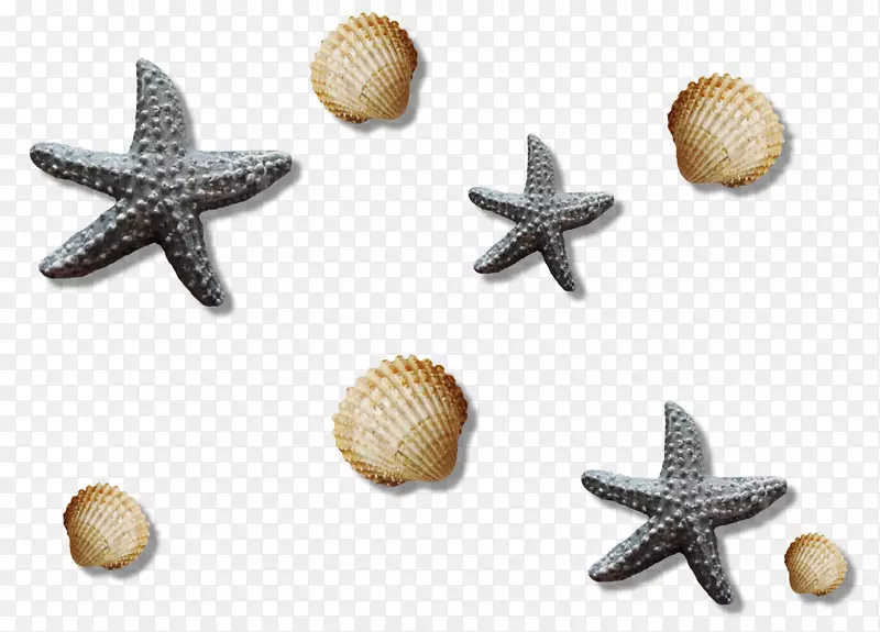 ˮ�ʻ�������-����-������