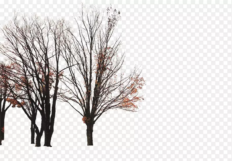 ��֦-����-������