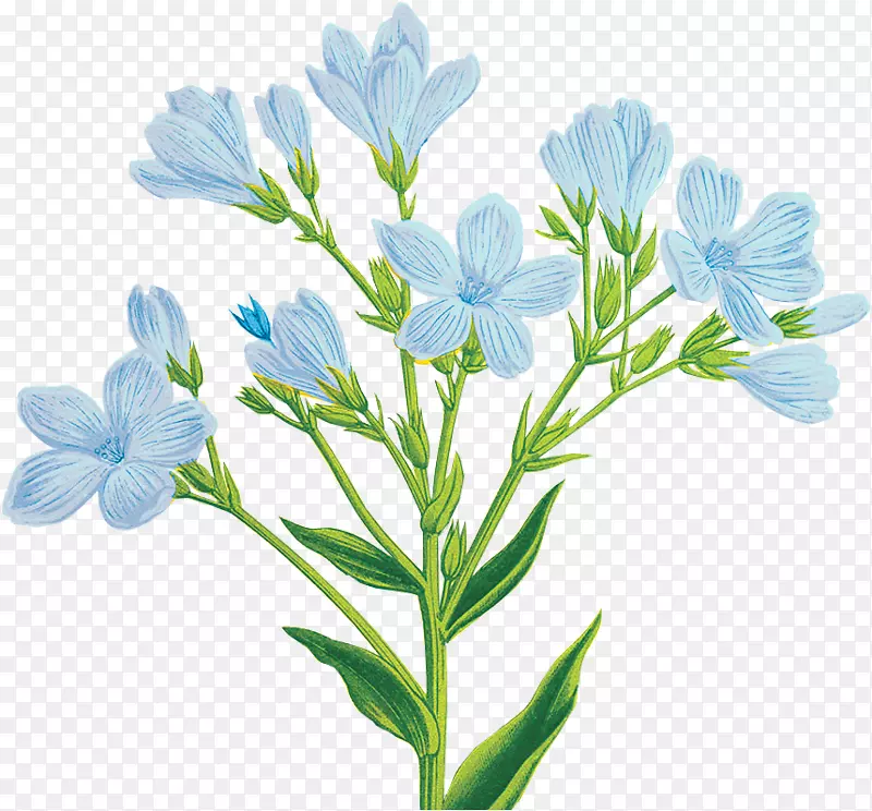 ���л�������-������