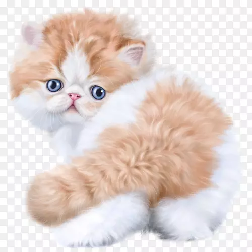 ����è������-����-������