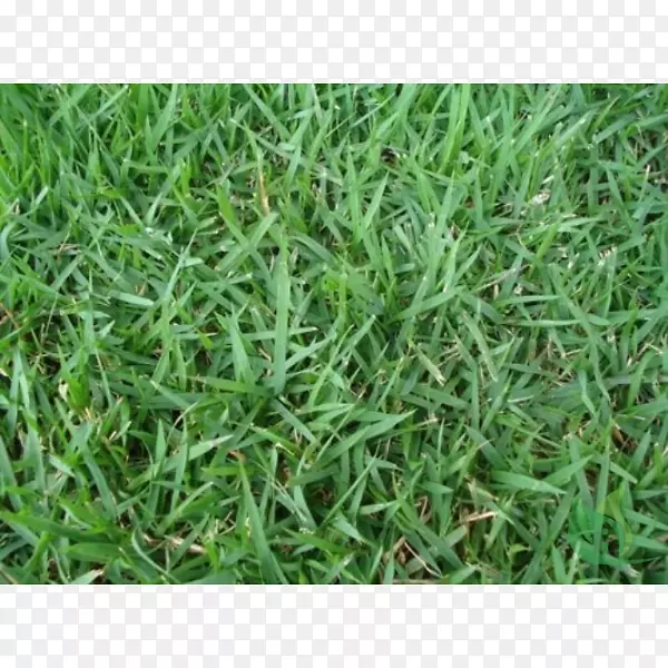 ˮ�β�-������