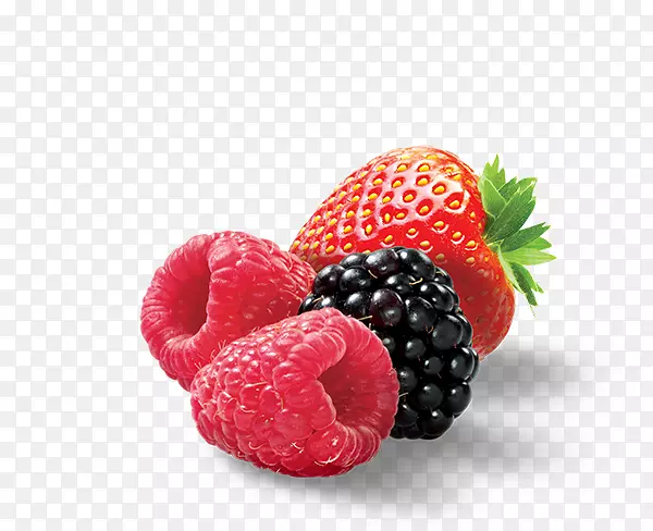 ��ݮ������Ħ˿�ڱ�-��ݮ-������