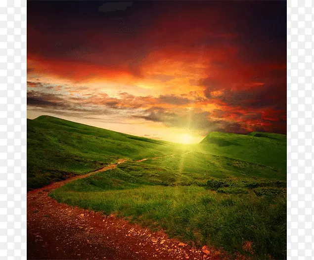 ��ʧ�ĸо�����������Ӱ-������