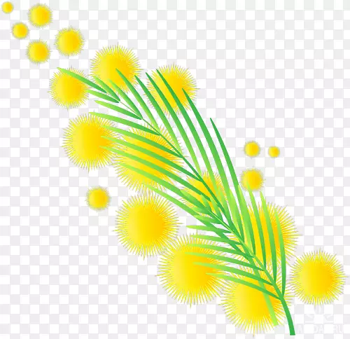 Ҷ�����ֽ��ֲ�ﾥ��Ҷ-������