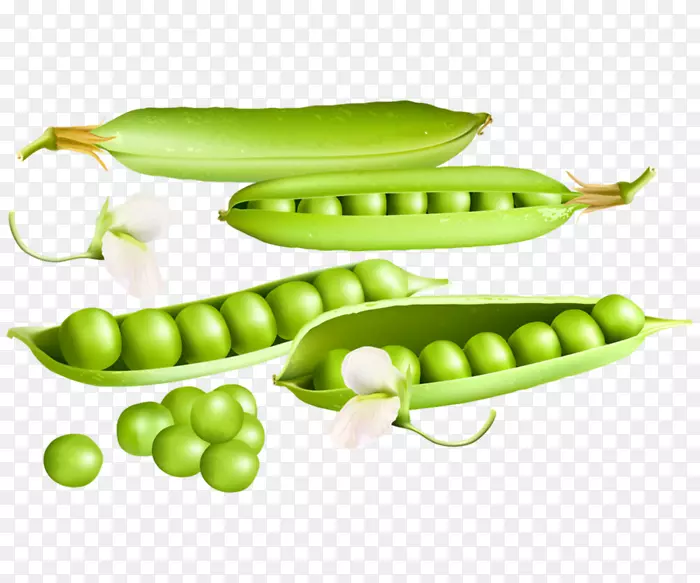 �㶹-������