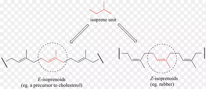 ֽ���Ǳ�־-������