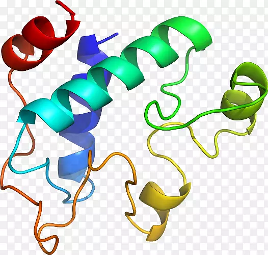 �����鱦���л����������-������