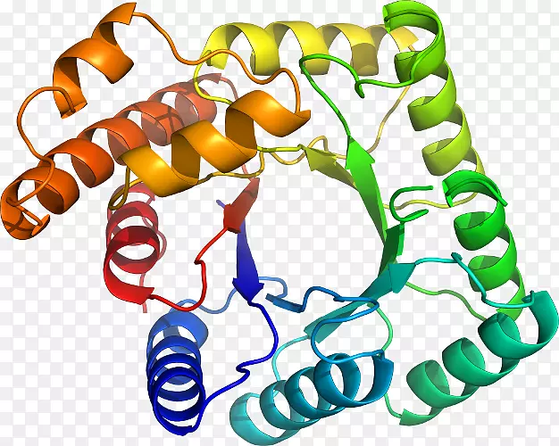 ���������л����߼�������-������