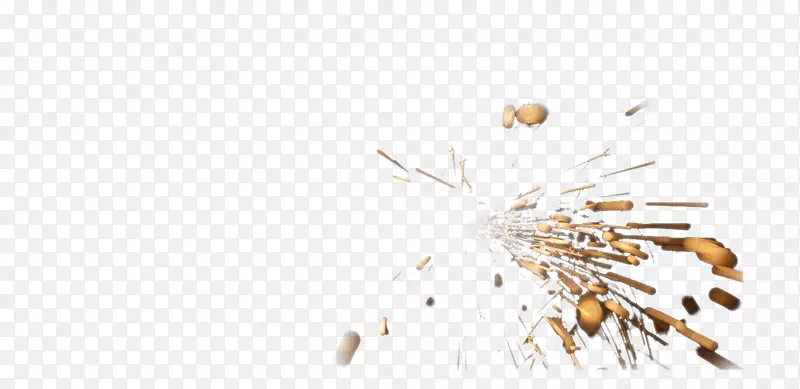 ����-��-������